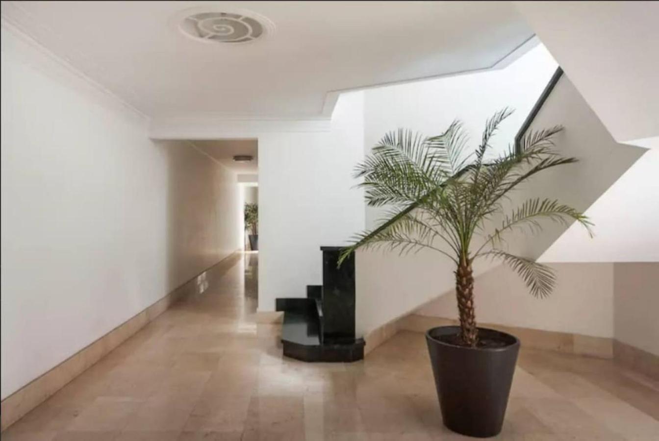 Condesa Campeche 6 2br, 1ba With Expansive Living Space Apartment